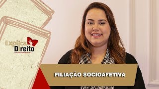 Explica Direito Filiação Socioafetiva  2019 [upl. by Nigem52]